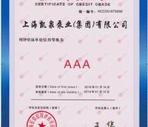 平頂山企業(yè)信用評級 信用等級評估與服務(wù)價(jià)值解析