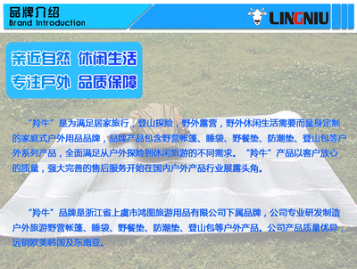 雙面鋁膜雙面防水防潮墊子特價促銷——上虞市鴻圖旅游用品廠家直供